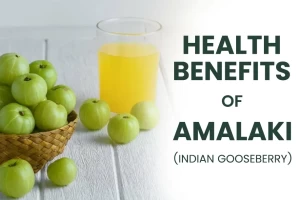 Health Benefits of Amalaki ( Indian Gooseberry )